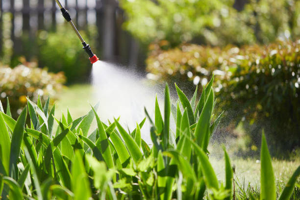 24/7 Emergency Mosquito Control experts in Rushville, NE
